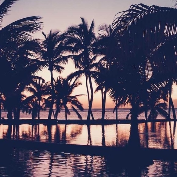 My Personal Closet - Picture 1 of 1